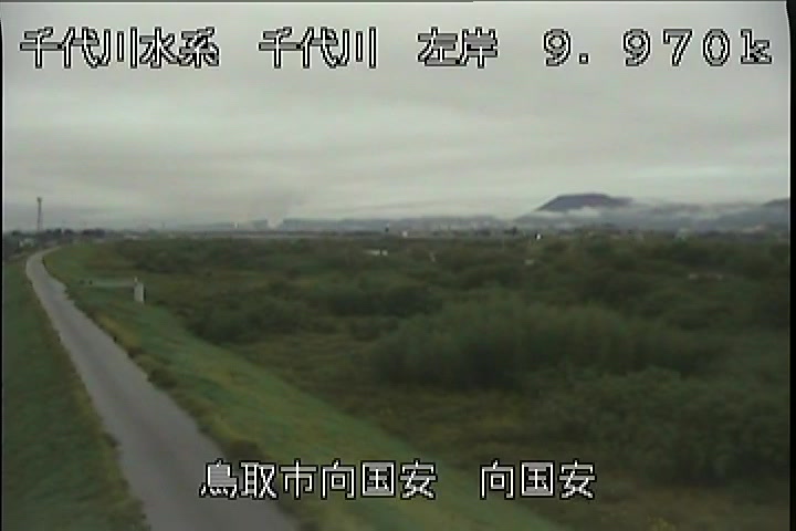 向国安