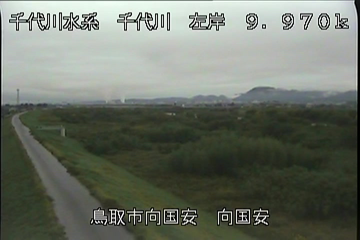 向国安