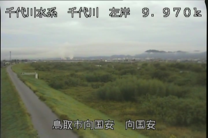 向国安