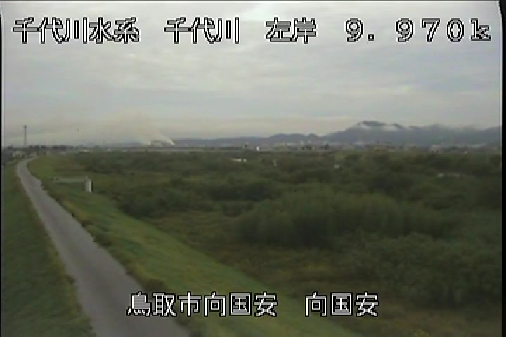 向国安