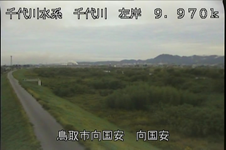 向国安