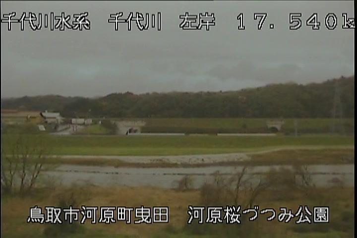 河原桜づつみ公園