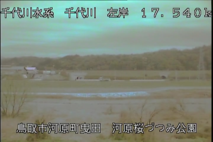 河原桜づつみ公園