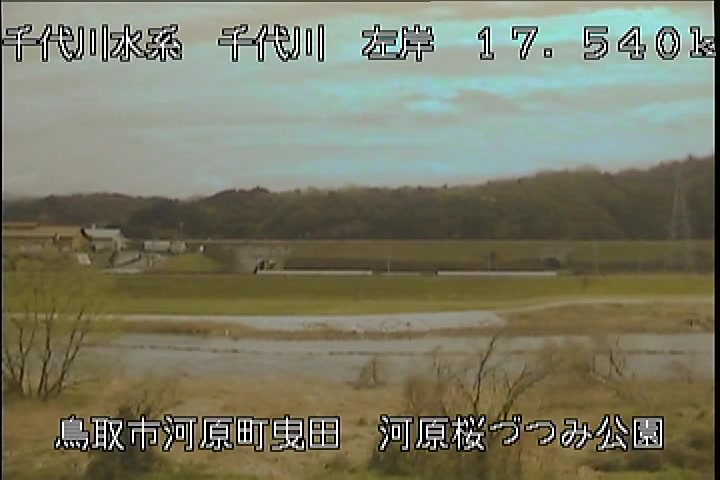 河原桜づつみ公園