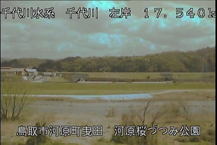 河原桜づつみ公園