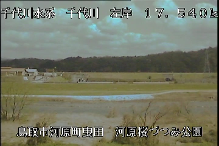 河原桜づつみ公園