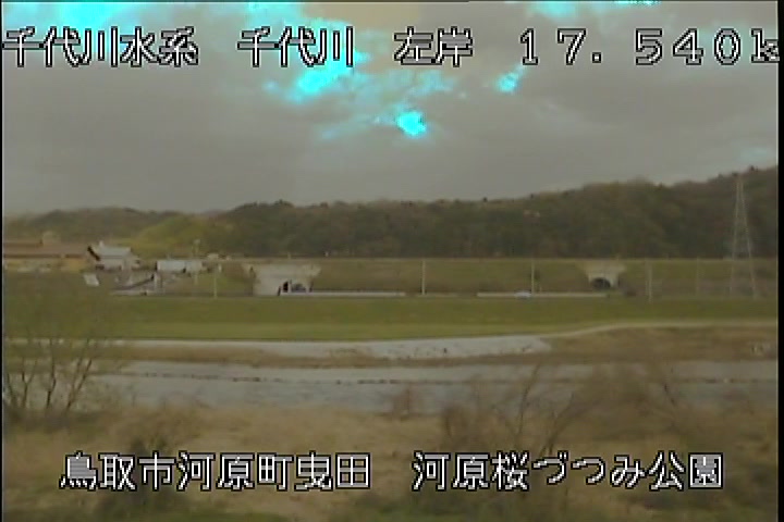 河原桜づつみ公園