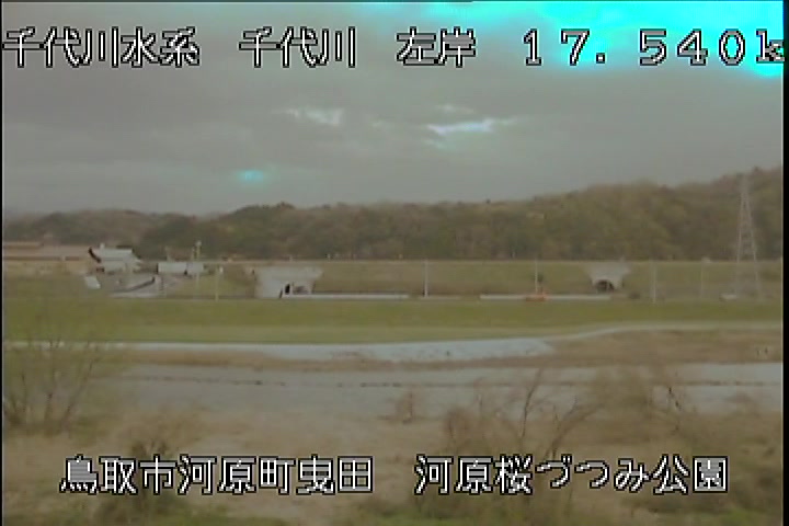 河原桜づつみ公園