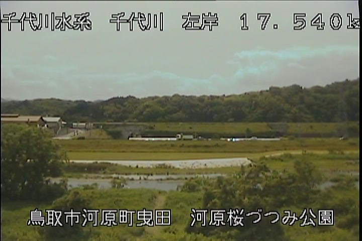 河原桜づつみ公園