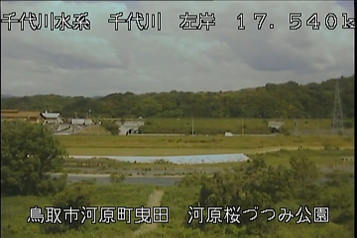 河原桜づつみ公園