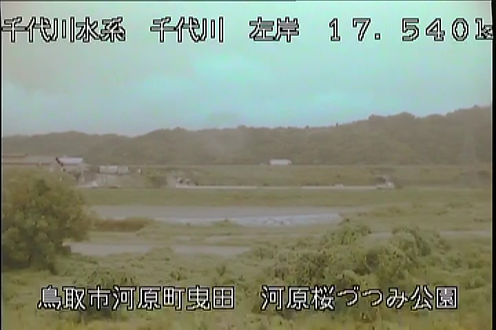 河原桜づつみ公園