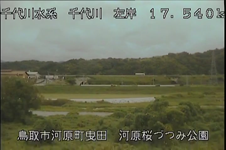 河原桜づつみ公園