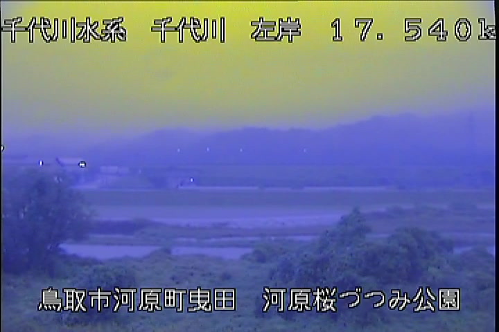 河原桜づつみ公園