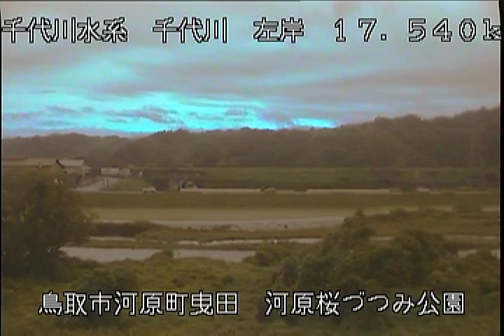 河原桜づつみ公園