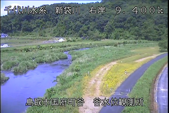 谷水位観測所