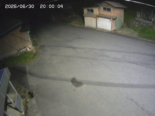 若桜町諸鹿