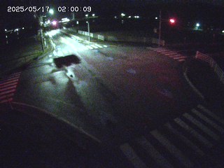 鹿野町岡木【浜村鹿野温泉IC北】