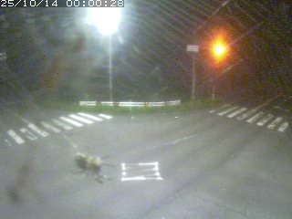 気高町二本木
