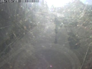 若桜町若桜