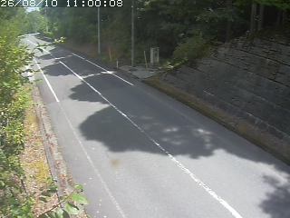 八頭町船岡殿【まぢトンネル】