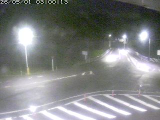 三朝町穴鴨