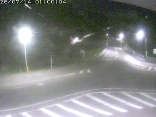 三朝町穴鴨