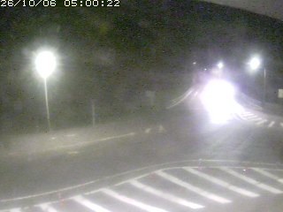 三朝町穴鴨
