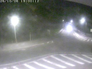 三朝町穴鴨