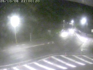 三朝町穴鴨