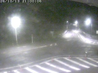 三朝町穴鴨