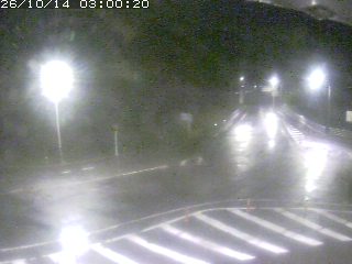 三朝町穴鴨