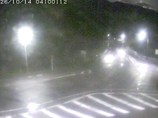 三朝町穴鴨
