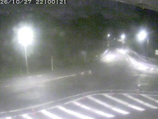 三朝町穴鴨