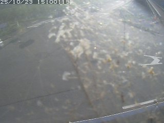 伯耆町大殿