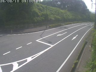 南部町鶴田