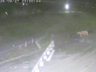 伯耆町根雨原