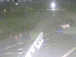 伯耆町根雨原