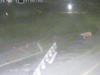 伯耆町根雨原