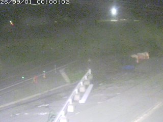 伯耆町根雨原