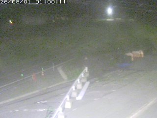 伯耆町根雨原