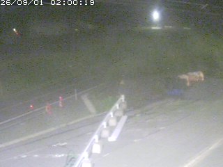 伯耆町根雨原