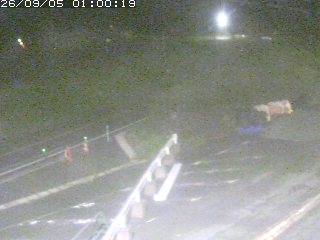 伯耆町根雨原