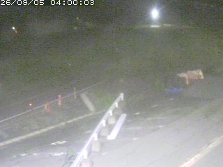 伯耆町根雨原