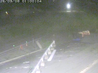 伯耆町根雨原