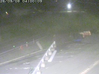 伯耆町根雨原