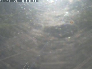 伯耆町根雨原