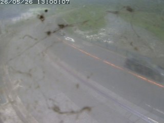 江府町佐川