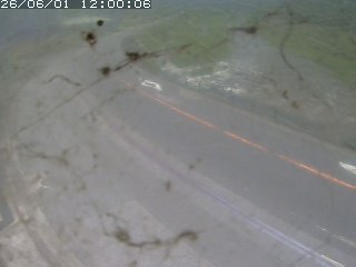 江府町佐川