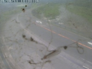 江府町佐川