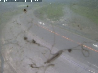 江府町佐川